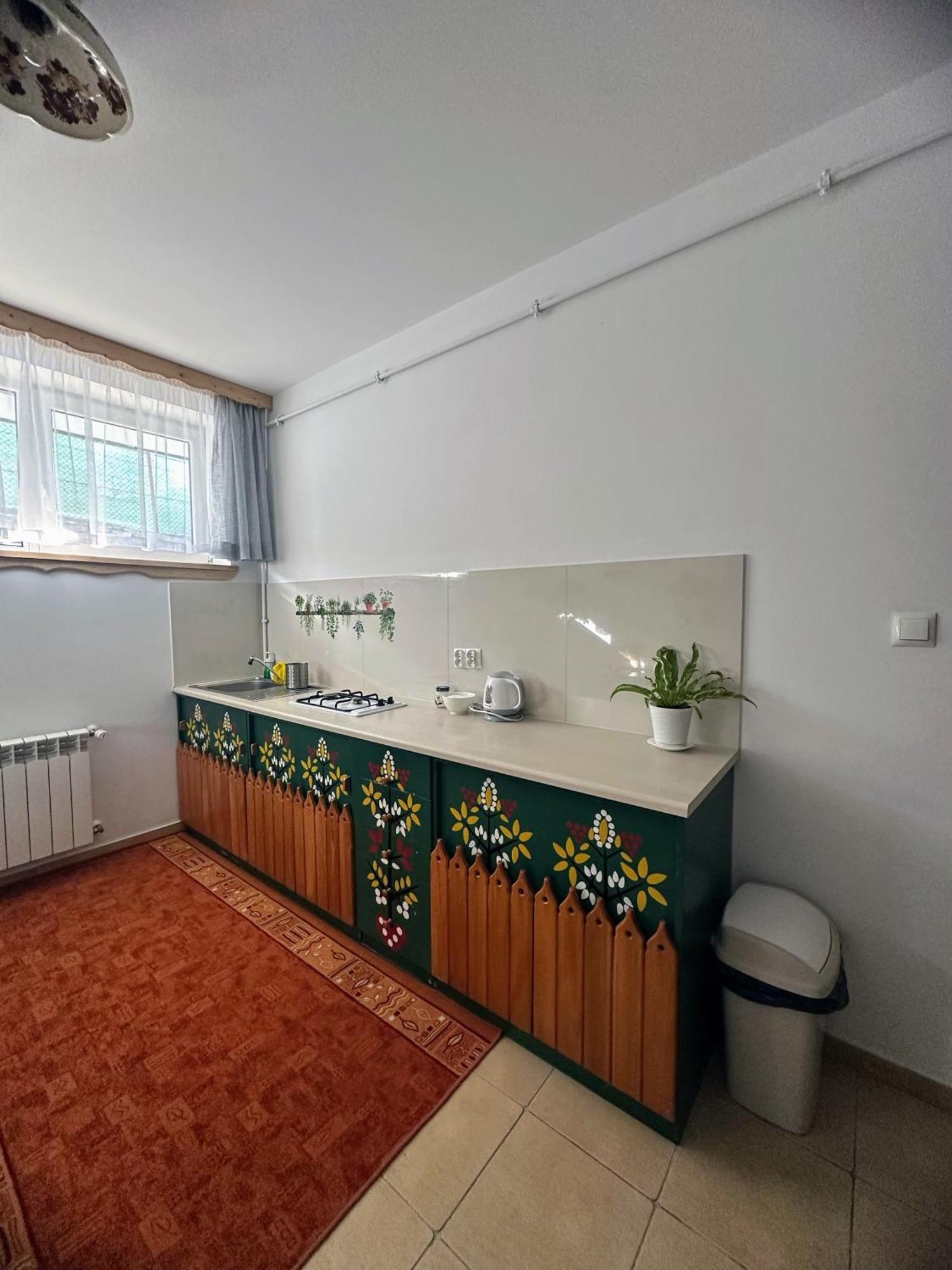 Podhalanska Chata Закопане Экстерьер фото
